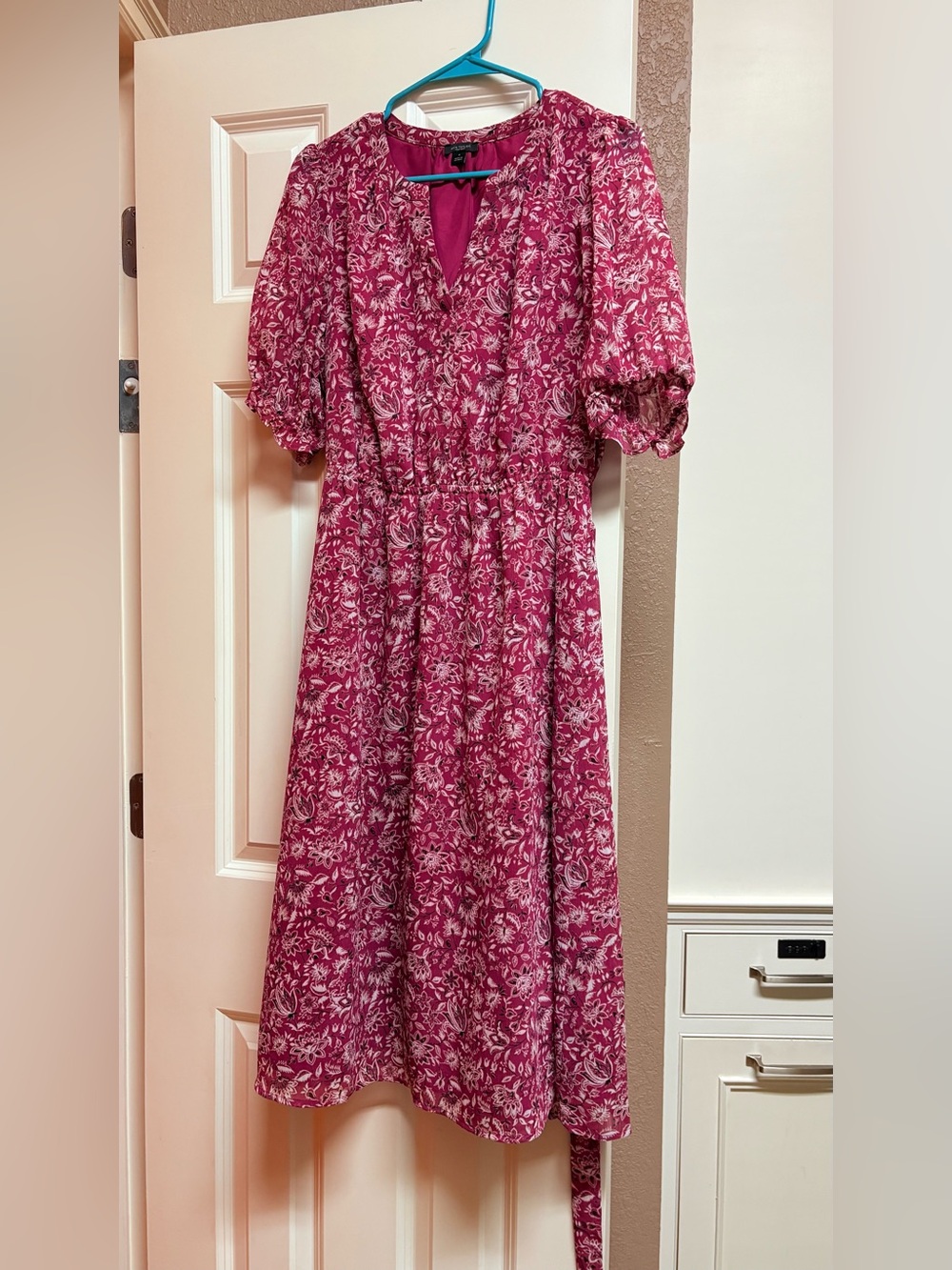 Ann Taylor Factory Fuschia Paisley Dress